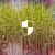 Automation Tools Are Changing Business Operations